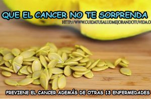 Con esta semilla liberate de contraer cáncer y otras enfermedades