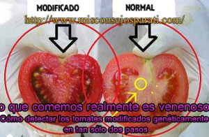 Lo que comemos no es veneno?