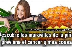 Descubre las 8 maravillas de la piña, previene el cáncer y mas cosas