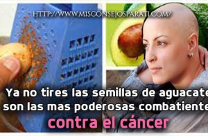 Ya no tires las semillas de aguacate, son las mas poderosas combatientes contra el cáncer