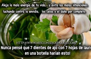 Nunca pensé que 7 dientes de ajo con 7 hojas de laurel en una botella harían esto!