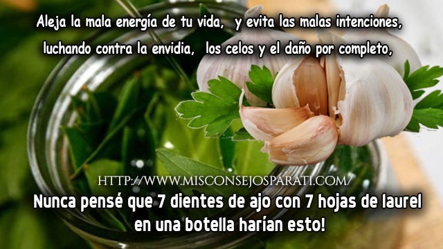 Nunca pensé que 7 dientes de ajo con 7 hojas de laurel en una botella harían esto!