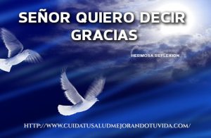 Señor quiero decirte gracias