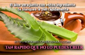 El áloe vera junto con estos ingrediente te blanquea la piel.