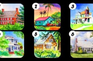 El test de las casas
