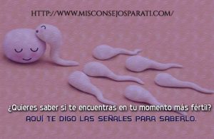 ¿Quieres saber si te encuentras en tu momento más fértil? aquí te digo las señales para saberlo.