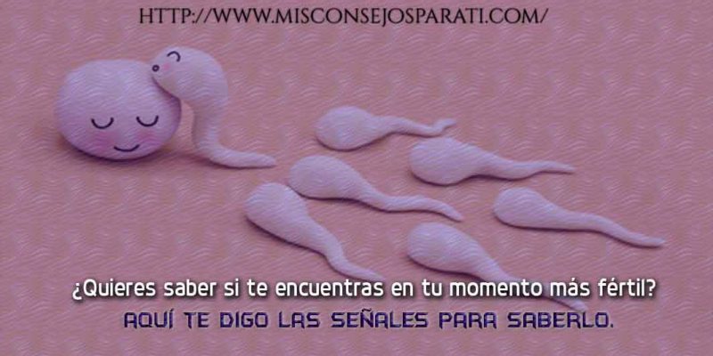 ¿Quieres saber si te encuentras en tu momento más fértil? aquí te digo las señales para saberlo.