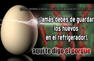 ¡Jamás debes de guardar los huevos en el refrigerador!, aquí te digo el porque