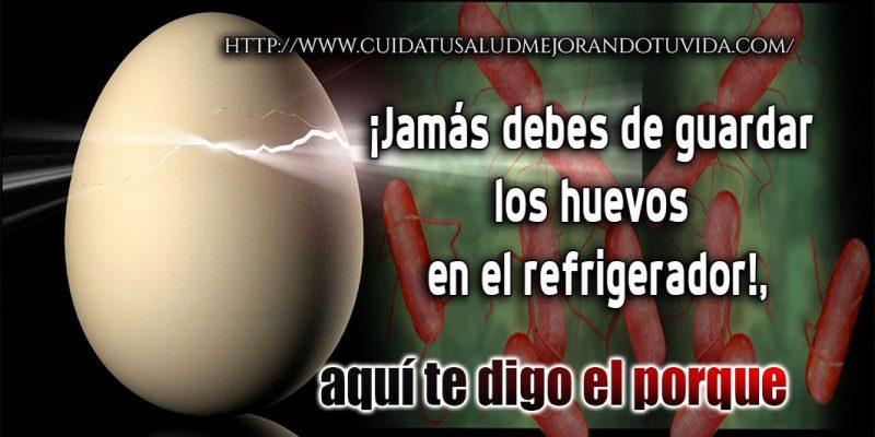 ¡Jamás debes de guardar los huevos en el refrigerador!, aquí te digo el porque