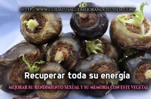 Recuperar toda su energía, mejorar su rendimiento sexual y su memoria con este vegetal