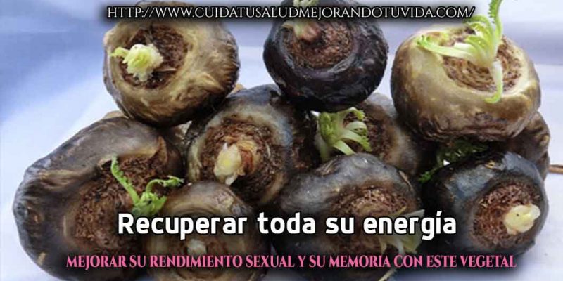 Recuperar toda su energía, mejorar su rendimiento sexual y su memoria con este vegetal