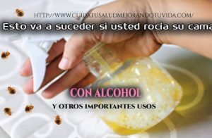 Rocía tu cama con alcohol y elimina esos parásitos!