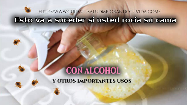 Rocía tu cama con alcohol y elimina esos parásitos!