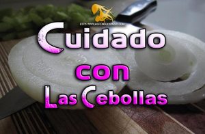 Cuidado con las cebollas