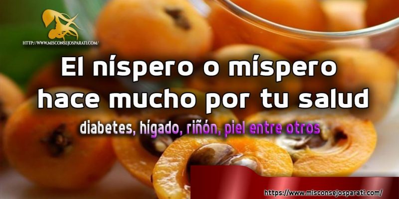 El níspero o míspero hace mucho por tu salud, diabetes, hígado, riñón, piel entre otros
