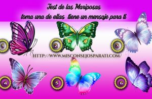 Las mariposas y tu personalidad