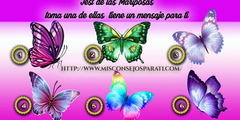Las mariposas y tu personalidad