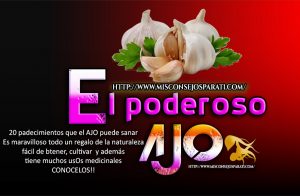Veinte padecimientos que al consumir ajo puedes sanar