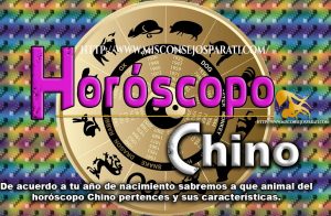 Característica de tu signo chino.
