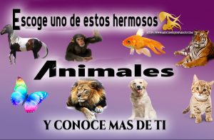 Escoge a uno de estos hermosos animales y conoce mas de ti