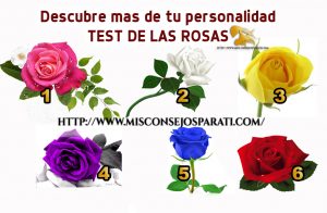 Toma una rosa y te diré el mensaje que tiene para ti.