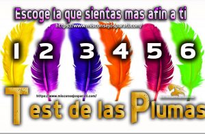Escoge una pluma , ella tiene algo importante que decirte