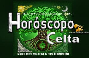 Horóscopo celta, busca el árbol de tu nacimiento, tiene un mensaje para ti.