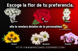 Escoge la flor de tu preferencia, ella te revelara detalles de tu personalidad.