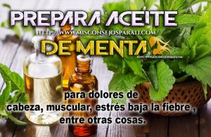 Prepara aceite de menta para dolores de cabeza, muscular, estrés baja la fiebre , entre otras cosas.