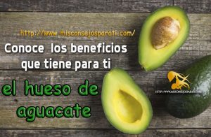 Conoce  las beneficios que tiene para ti el hueso de aguacate.