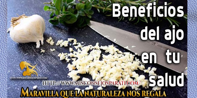 El ajo es un potente antibióticos natural, conoce sus beneficios