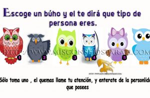 Escoge un búho y el te dirá que tipo de persona eres.
