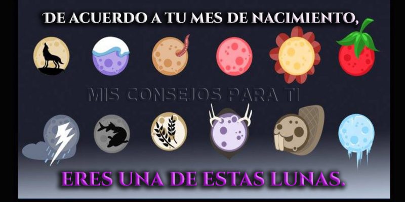 De acuerdo a tu mes de nacimiento, eres una de estas lunas.