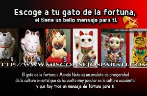 Escoge a tu gato de la fortuna, el tiene un bello mensaje para ti.