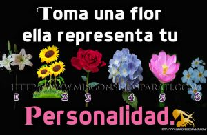 Toma una flor ella representa tu personalidad.