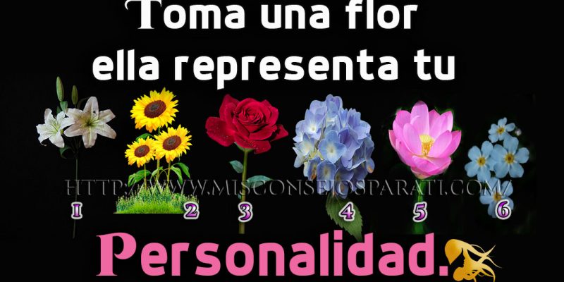 Toma una flor ella representa tu personalidad.