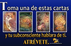 Toma una de estas cartas y tu subconsciente hablara de ti. atrévete.