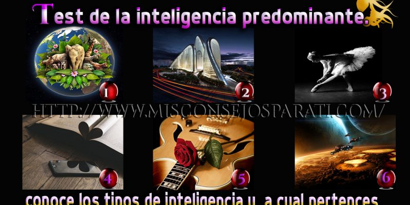 Test de la inteligencia predominante.