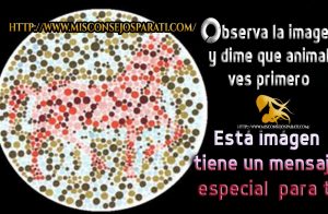 Observa la imagen y dime que animal ves primero.