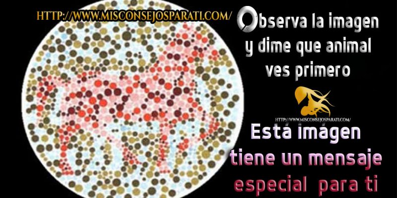 Observa la imagen y dime que animal ves primero.