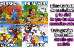 Dime tu fecha de nacimiento y te diré lo que tu alma necesita saber.