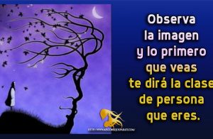 Observa la imagen y lo primero que veas te dirá la clase de persona que eres.