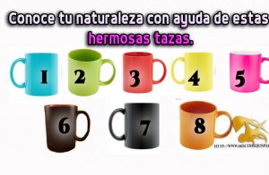 Conoce tu naturaleza con ayuda de estas hermosas tazas.