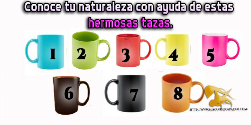 Conoce tu naturaleza con ayuda de estas hermosas tazas.