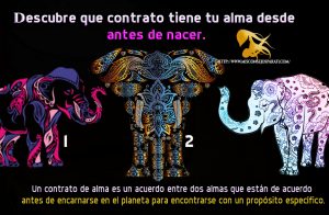 Descubre que contrato tiene tu alma desde antes de nacer.