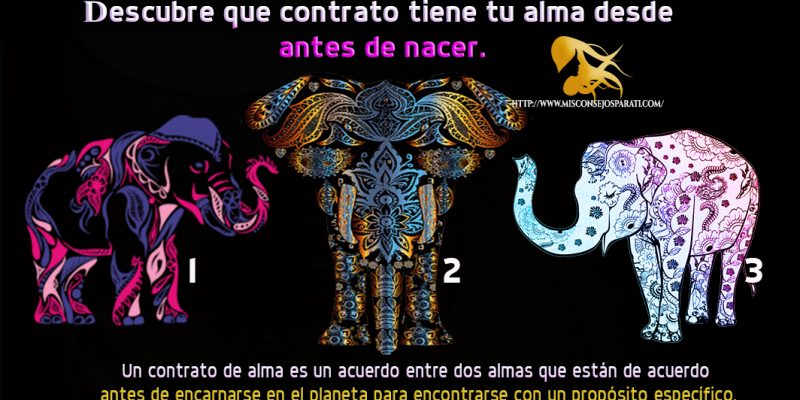 Descubre que contrato tiene tu alma desde antes de nacer.