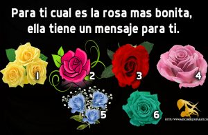 Para ti cual es la rosa mas bonita, ella tiene un mensaje para ti.