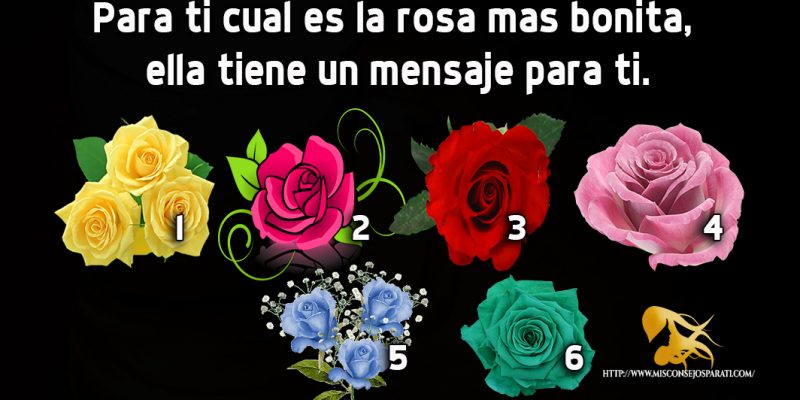 Para ti cual es la rosa mas bonita, ella tiene un mensaje para ti.