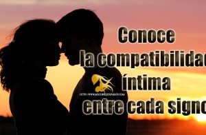 Conoce la compatibilidad intima entre cada signo.