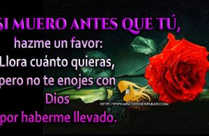 Si muero antes que tu, hermosa reflexión.